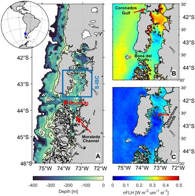 Synoptic-to-intraseasonal atmospheric modulation of phytoplankton biomass in the inner sea of Chiloé, Northwest Patagonia (42.5°-43.5°S, 72.5°-74°W), Chile